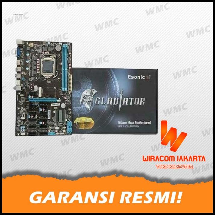 Esonic B250 - Btc Gladiator - Intel Socket 1151- (12 Slot Pci-E/Gpu) Termurah