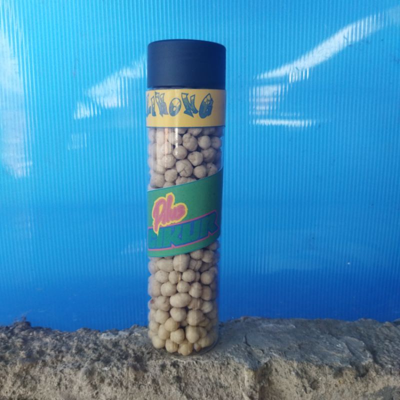 

Pilus Cikur Kongkalikong