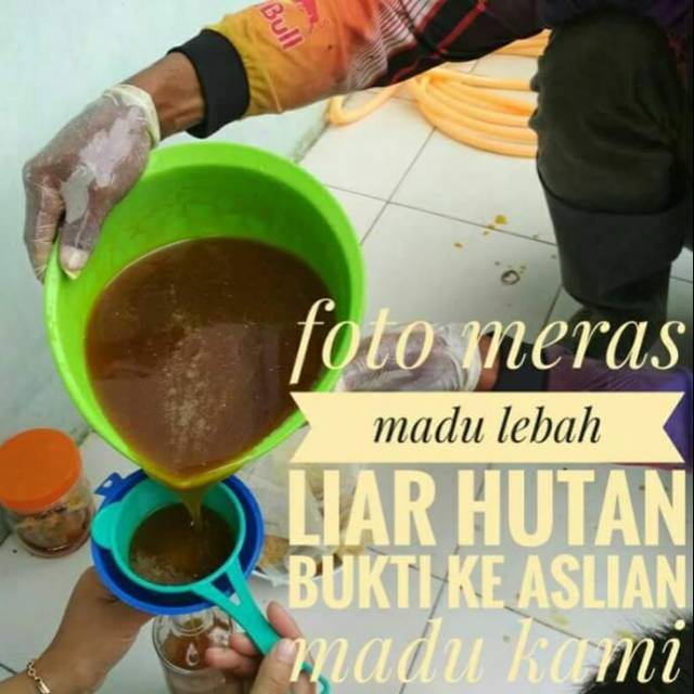 

Madu Hutan