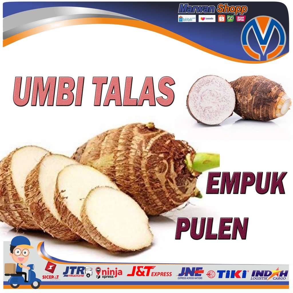

Ubi Umbi Talas BESAR Pulen 1 Kg SUPER MARWAN SHOPP