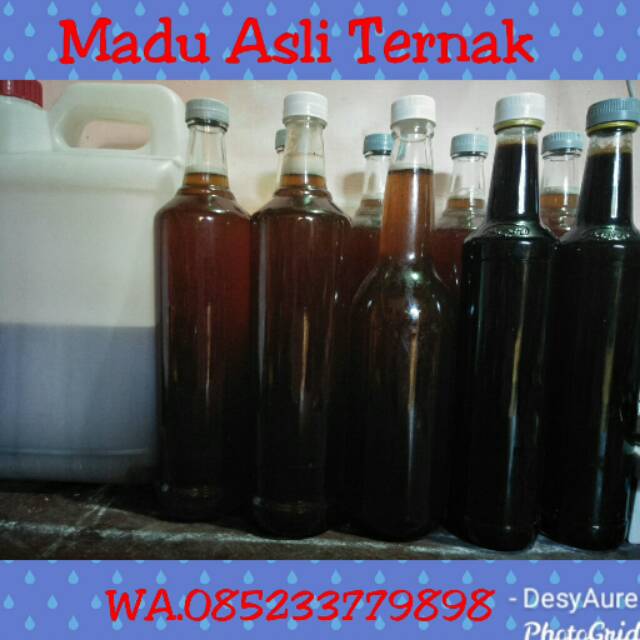 

Madu Asli Ternak