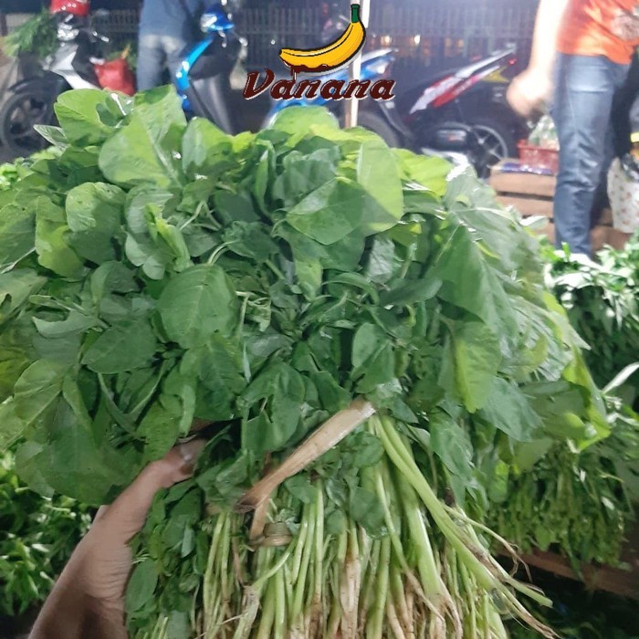 

VANANA Sayur Bayem 1 ikat isi 5pcs