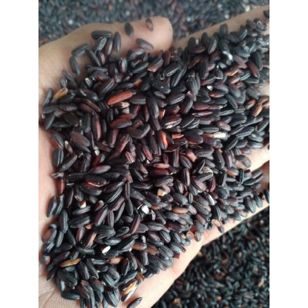 

Beras Ketan11000/liter