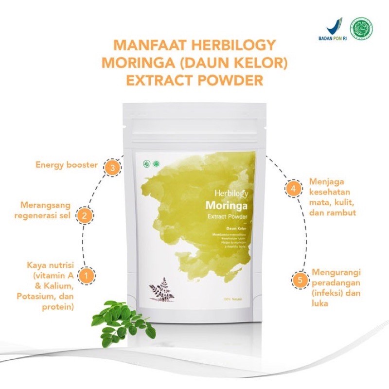 HERBILOGY MORINGA (DAUN KELOR) EXTRACT POWDER 100Gram