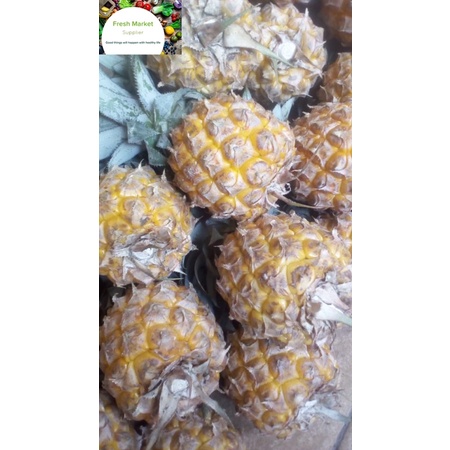 

Nanas Madu 1 Pcs ( Kupas / Tidak Kupas )