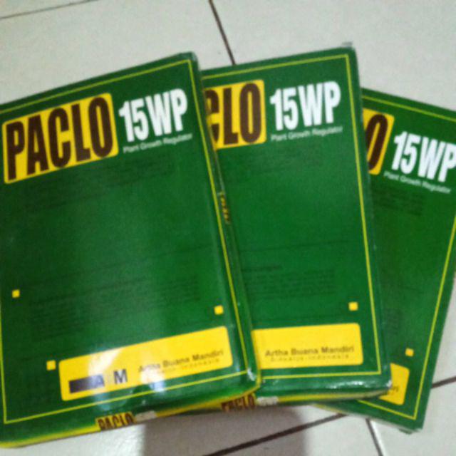 Zpt Paclobutrazol Paclo 15wp Perangsang Buah Bunga Diluar Musim Dan Pembesar Umbi Porang Kentang