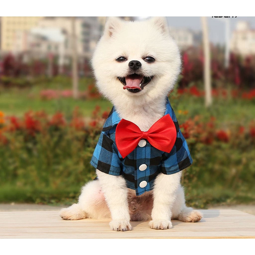 Baju Kemeja Pita Bowtie Anjing Kecil Lucu Anabul Yorkshire Chihuahua