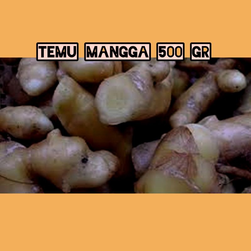 

Termurah TEMU MANGGA 500 gr