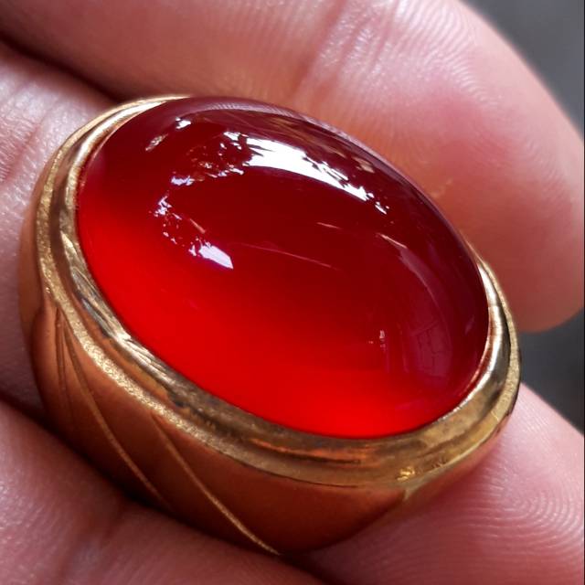 

Cempaka merah ACEH