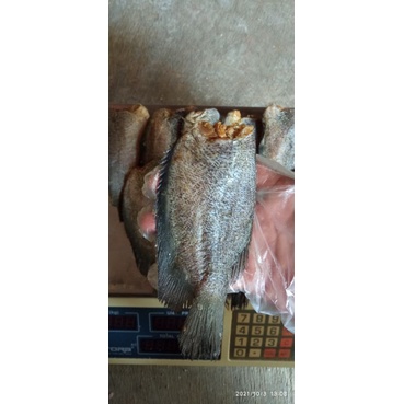 

sepat bangkok/asin sepat bangkok 1kg