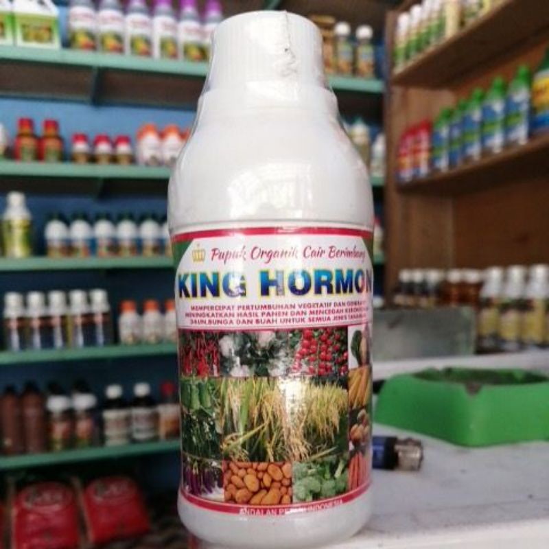 PUPUK CAIR  PERANGSANG TUNAS DAUN BUNGA DAN BUAH