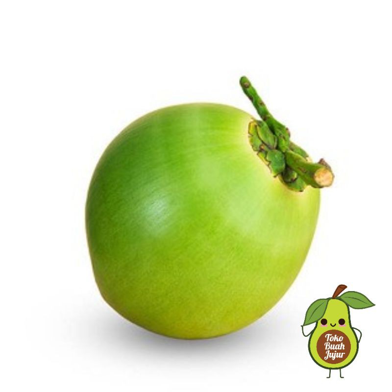 

KELAPA IJO KELAPA OBAT