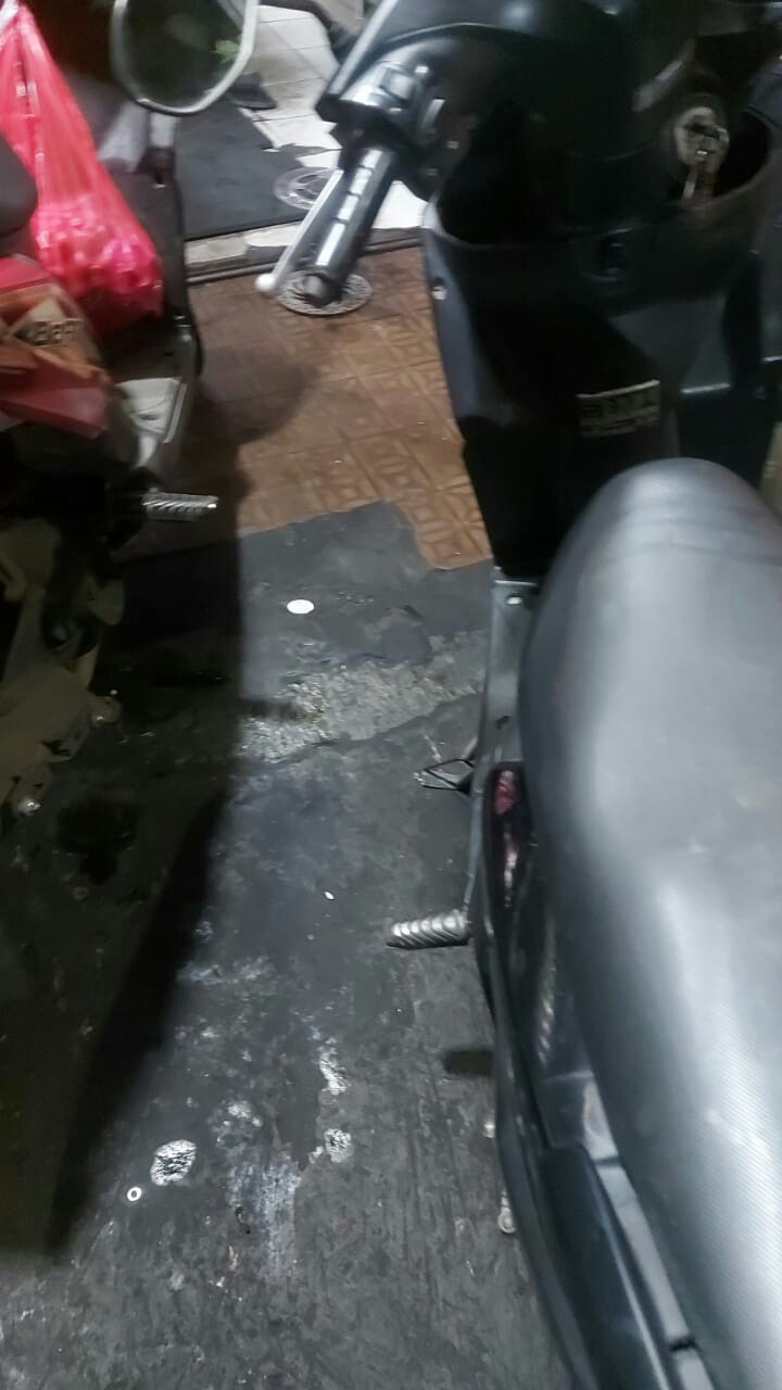 Botol Minum Anak Karakter Lumba Lumba Air Mancur -  Botol Minum Karakter Anak