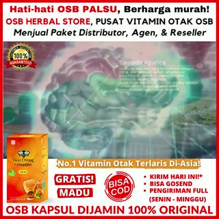 OmarSmartBrain: Solusi Cerdas untuk Meningkatkan Kecerdasan Otak Anak di Era Bisnis Online