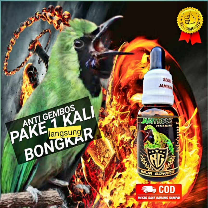 Oil Booster JAMTROCK Cucak Hijau Raja Goyang (RG) termurah bisa Cod 100% produk Original