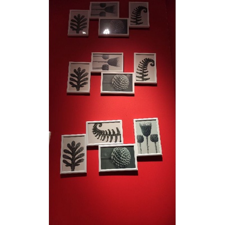 YLLEVAD Bingkai Frame Foto Kolase 4 Foto IKEA