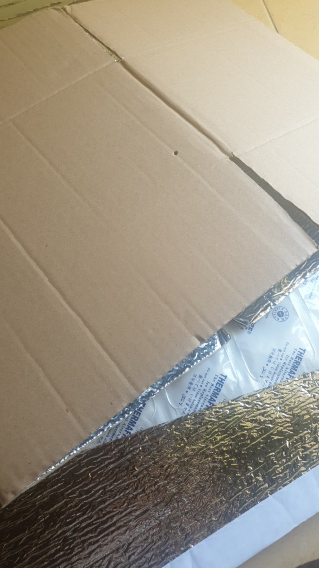 Originalidn Thermal Insulated Box Dus Packaging Tahan Dingin Keluar Kota Coldpak