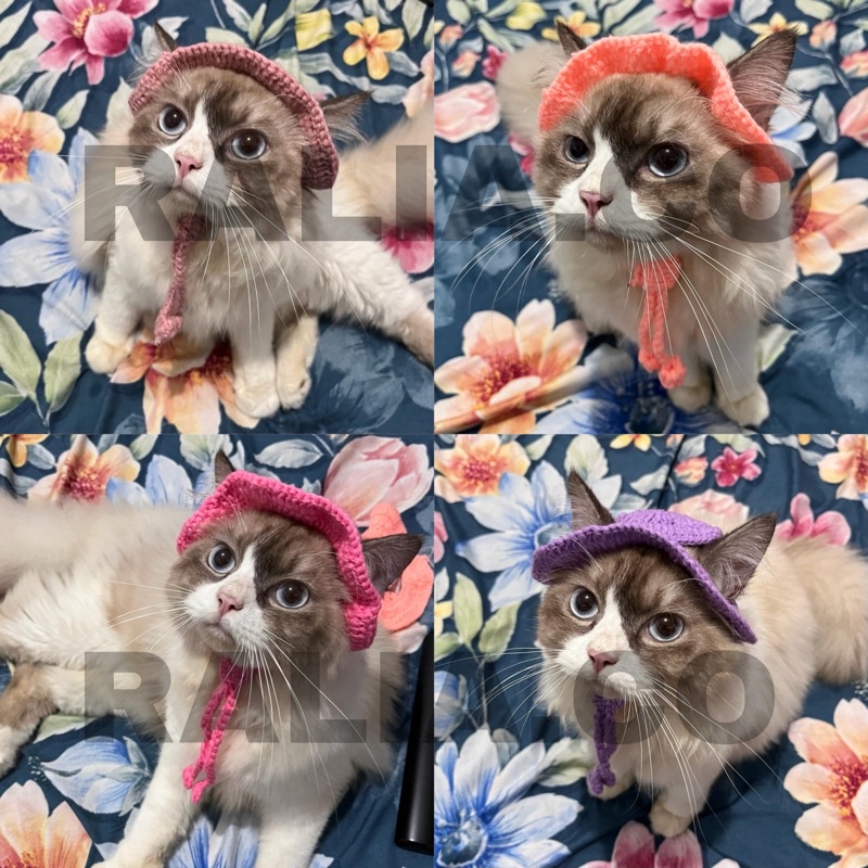 PART 3 TOPI RAJUT KUCING ANJING KELINCI POLOS KODOK POMPOM SALUR KHUSUS GROSIR