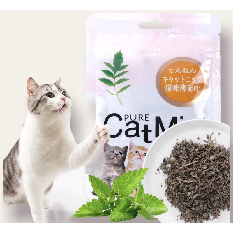 Cat Mint Catnip Powder Cemilan Snak Kucing | Catmint.