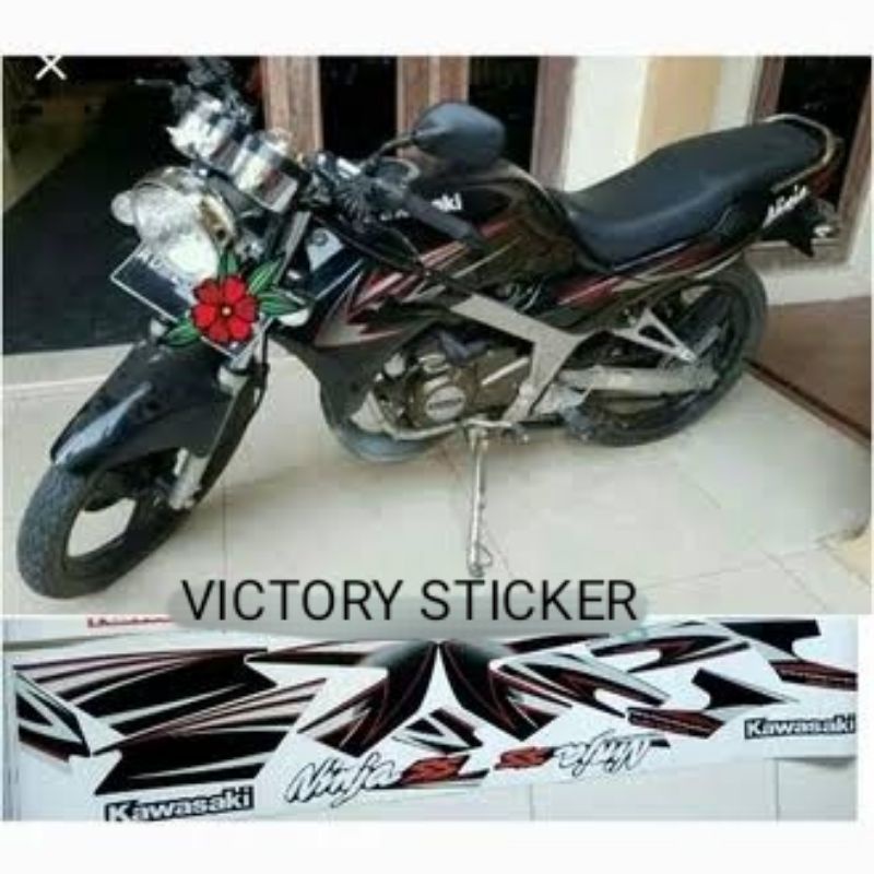 Striping Ninja SS 2010