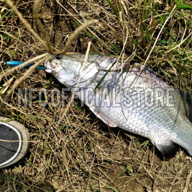 Lure minnow FLOATING lidah panjang Blackbass, Panjang body 6 cm panjang lidah 3 cm berat 6 gram