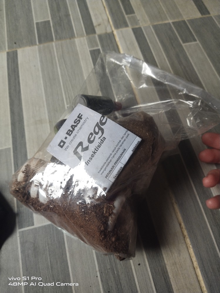 Saponin Racun Siput /keong