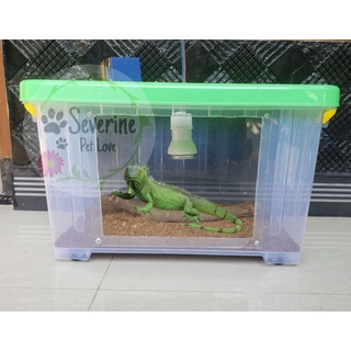 Jual Terrarium Iguana | kandang iguana | kontainer Container box modif ...