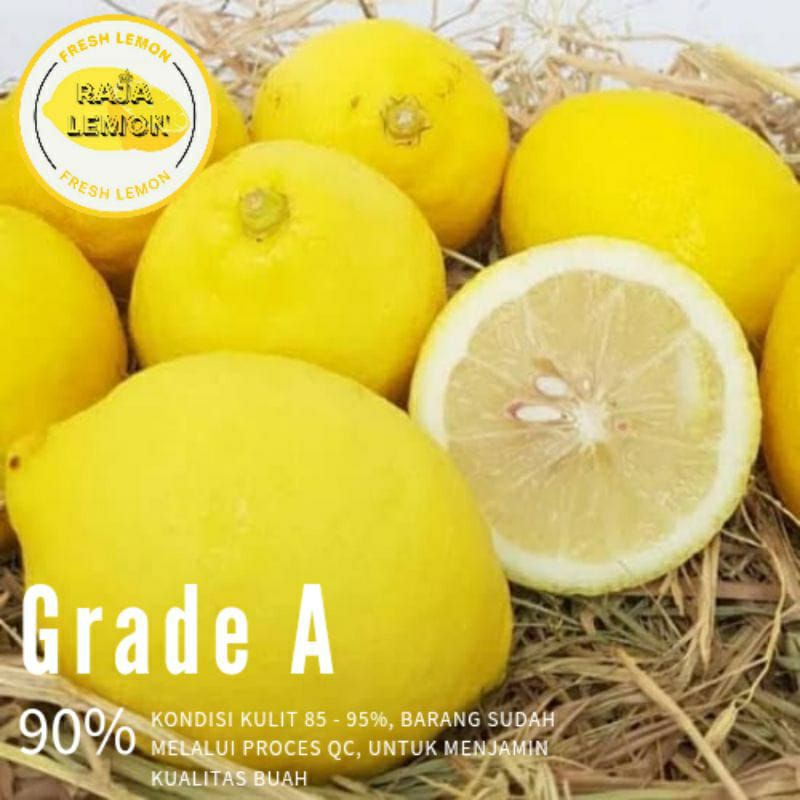 

JERUK LEMON CALIFORNIA FRESS GRADE A 500GR