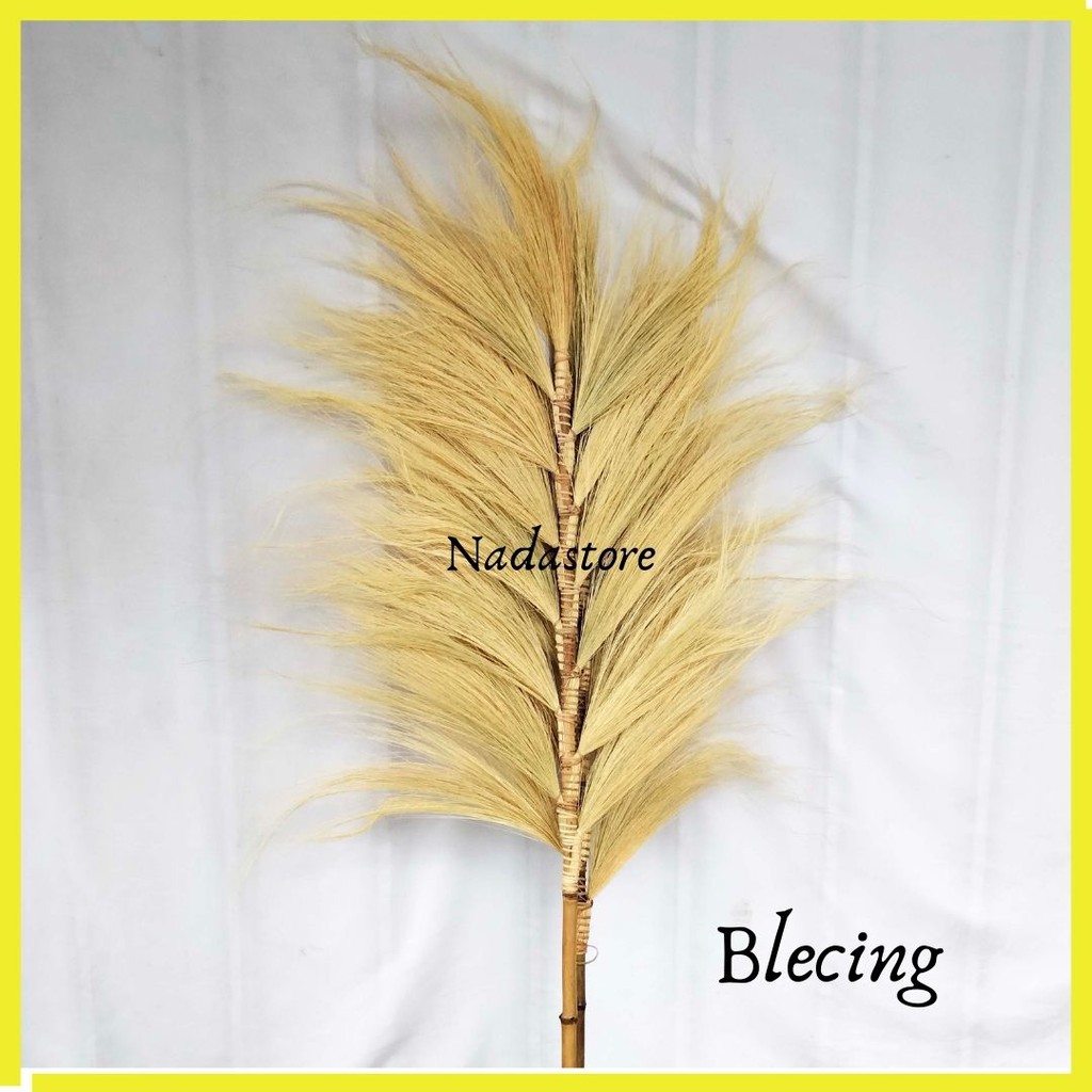 Rayung Stik Decoration / Bunga Kering / Rayung Pampas / Rayung Dekorasi / dried Flowers