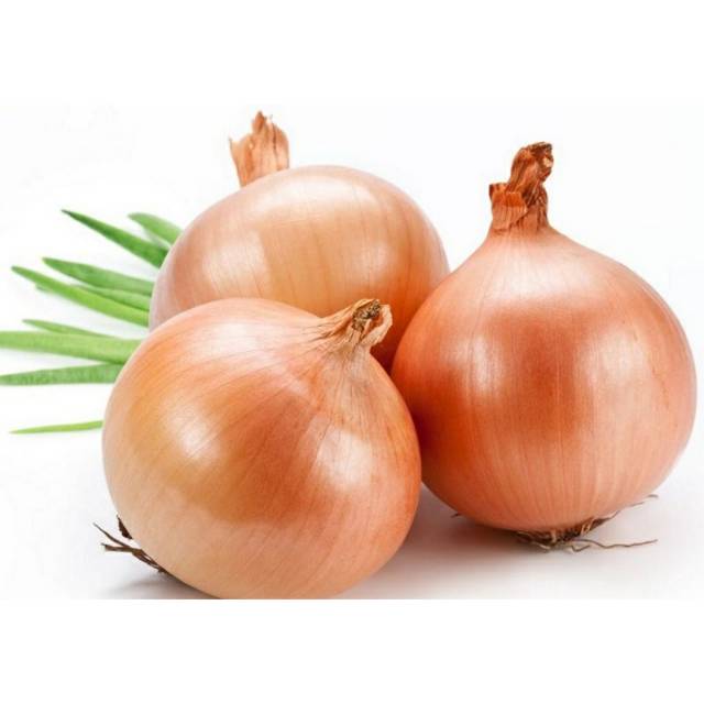 

BAWANG BOMBAY 1 biji / Sayur Sembako Murah Bandung