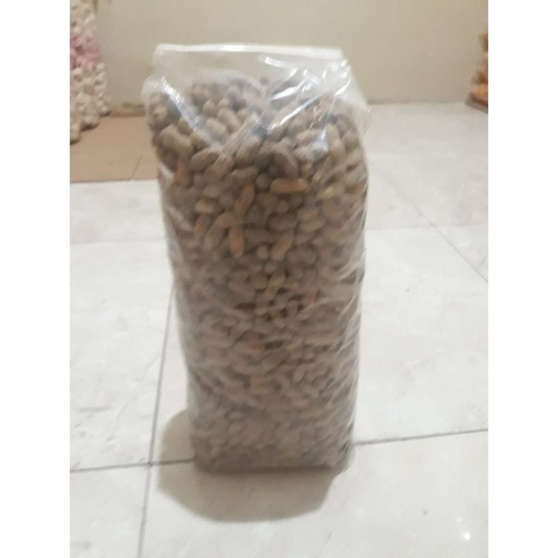 

Kacang Sangan