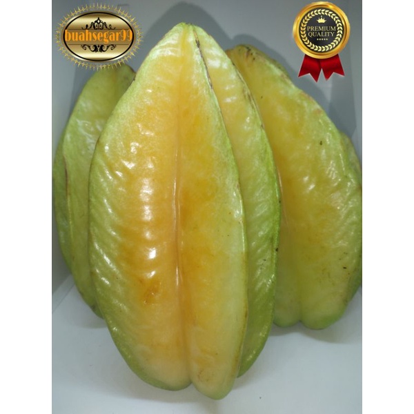 

belimbing Manis ukuran no 1/fresh murah