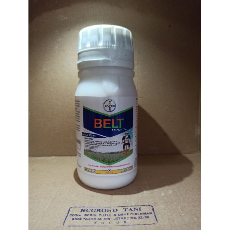 INSEKTISIDA BELT EXPERT 480 SC 250 ML PENGENDALI SUNDEP DAN BELOK