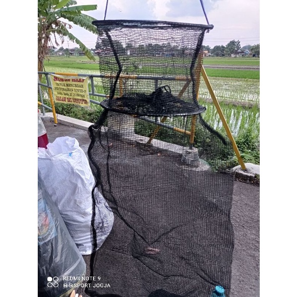 KORANG/TEMPAT IKAN HASIL PANCINGAN