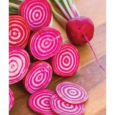 Benih Bibit Biji - Beetroot Chioggia Stripe Candy (Beta Vulgaris) Buah Bit Motif Spiral Seeds - IMPORT