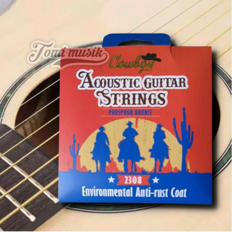 SENAR GITAR ORIGINAL AKUSTIK COWBOY STRINGS 010