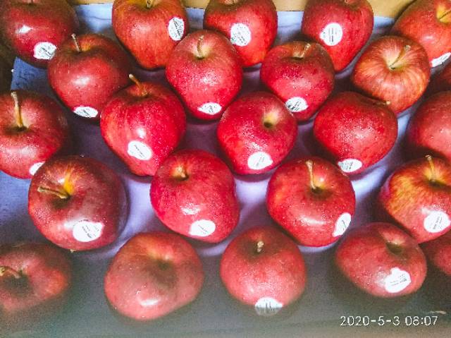 Buah Apel Merah USA Premium | Red Apple Delicious