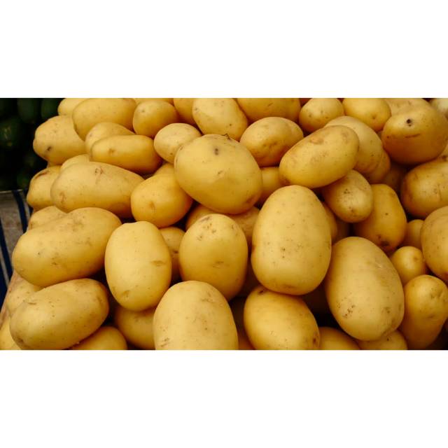 

KENTANG LOKAL 500 gram /