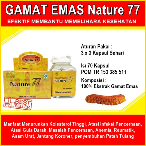 BestSeller Gamat emas nature 77 kapsul herbal untuk penyakit dalam obat lemak dalam darah AMPUH BPOM