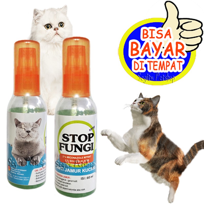 OBAT JAMUR KUCING KORENG SCABIES LUKA GATAL KUTU BOTAK BULU RONTOK STOP FUNGI