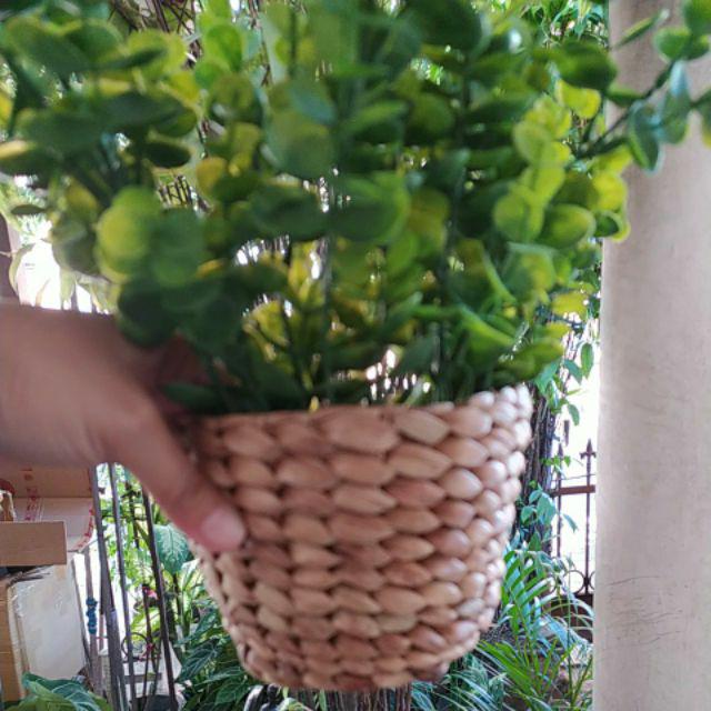 Keranjang Enceng Mini Kode Ked 02