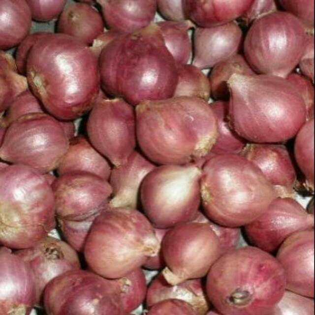 

BAWANG MERAH SEGAR 200 GRAMS