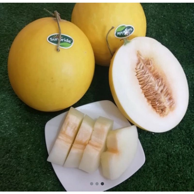 

Melon Golden Super Manis