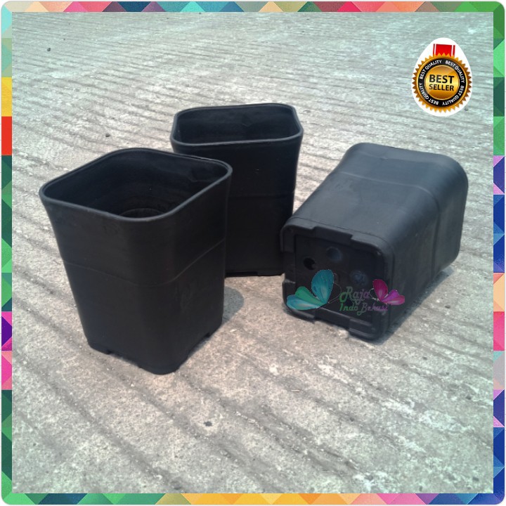 Pot Kotak Hitam 8cm / Pot Kotak Batik Tebal Hitam Mini Bukan Juoss 88 Nkt Juoss Hitam Bunga Sekulen