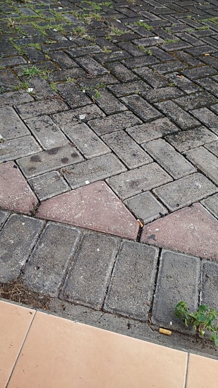 Asah Pisau Knife Grinder Sharper / Asahan Pisau Dapur Kitchen Surmene