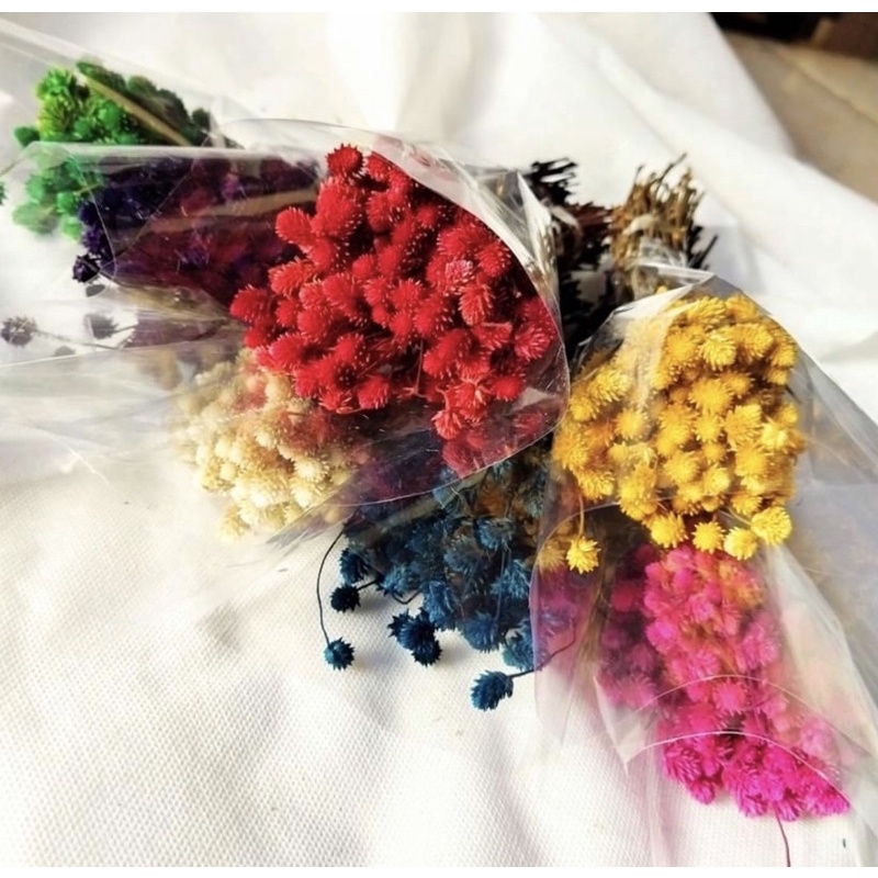 BUNGA CEBOL  SATU IKAT (isi 25-40pcs)Dekorasi Buket Bunga Rustik Tanaman Daun Kering Sikas Palem Gan