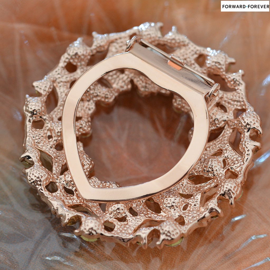 Shiny Rhinestone Crystal Brooch Pin Buckle Clip M40026