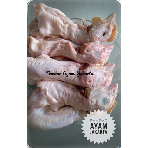 

Kepala Ayam/Kepala Ayam Frozen/Kg