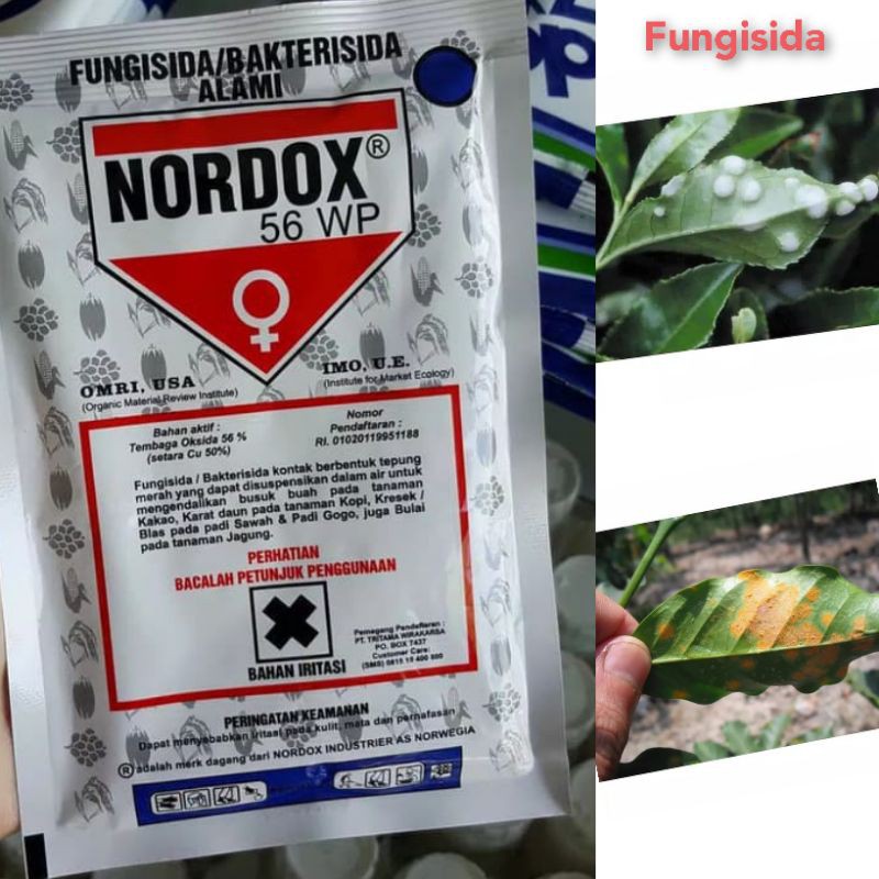 Nordox 100gr