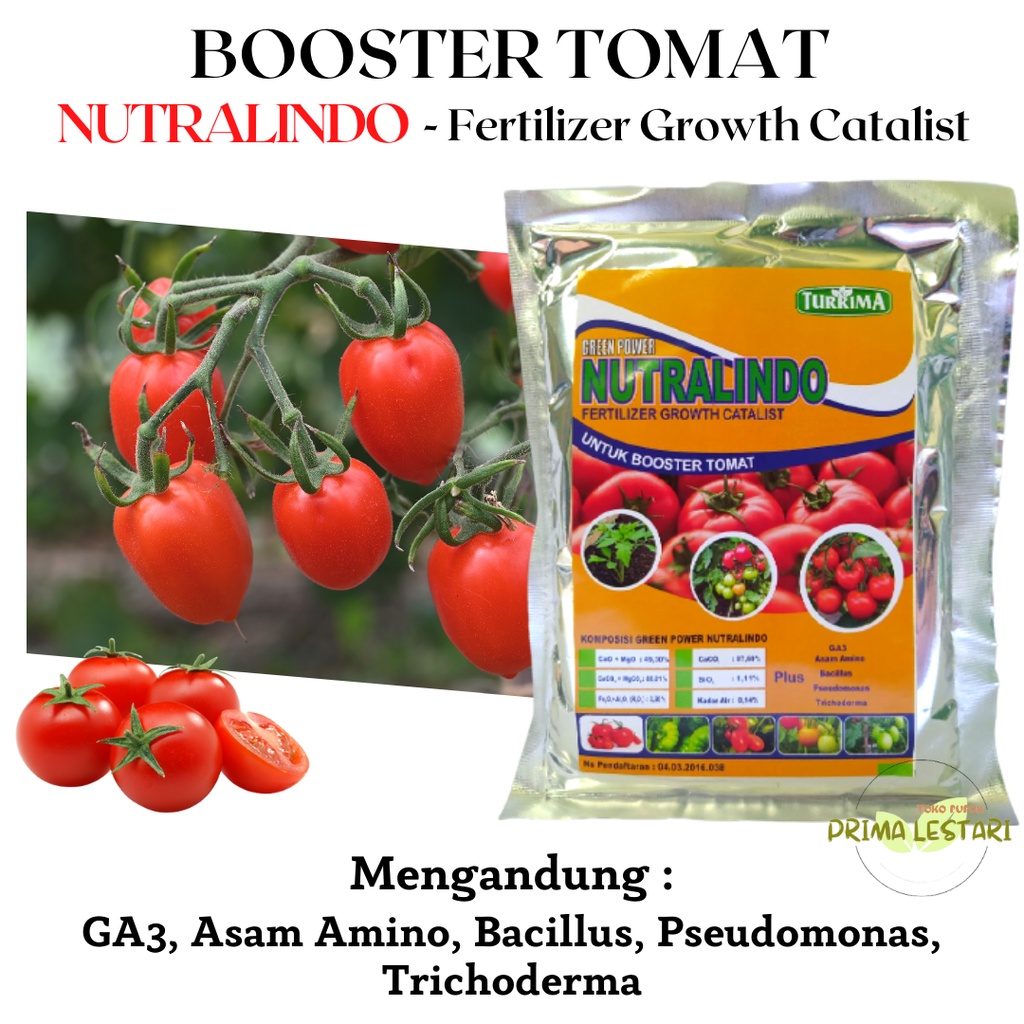 Jual Pupuk Perangsang Buah Tomat, Pupuk Tomat Berbuah Lebat, Booster